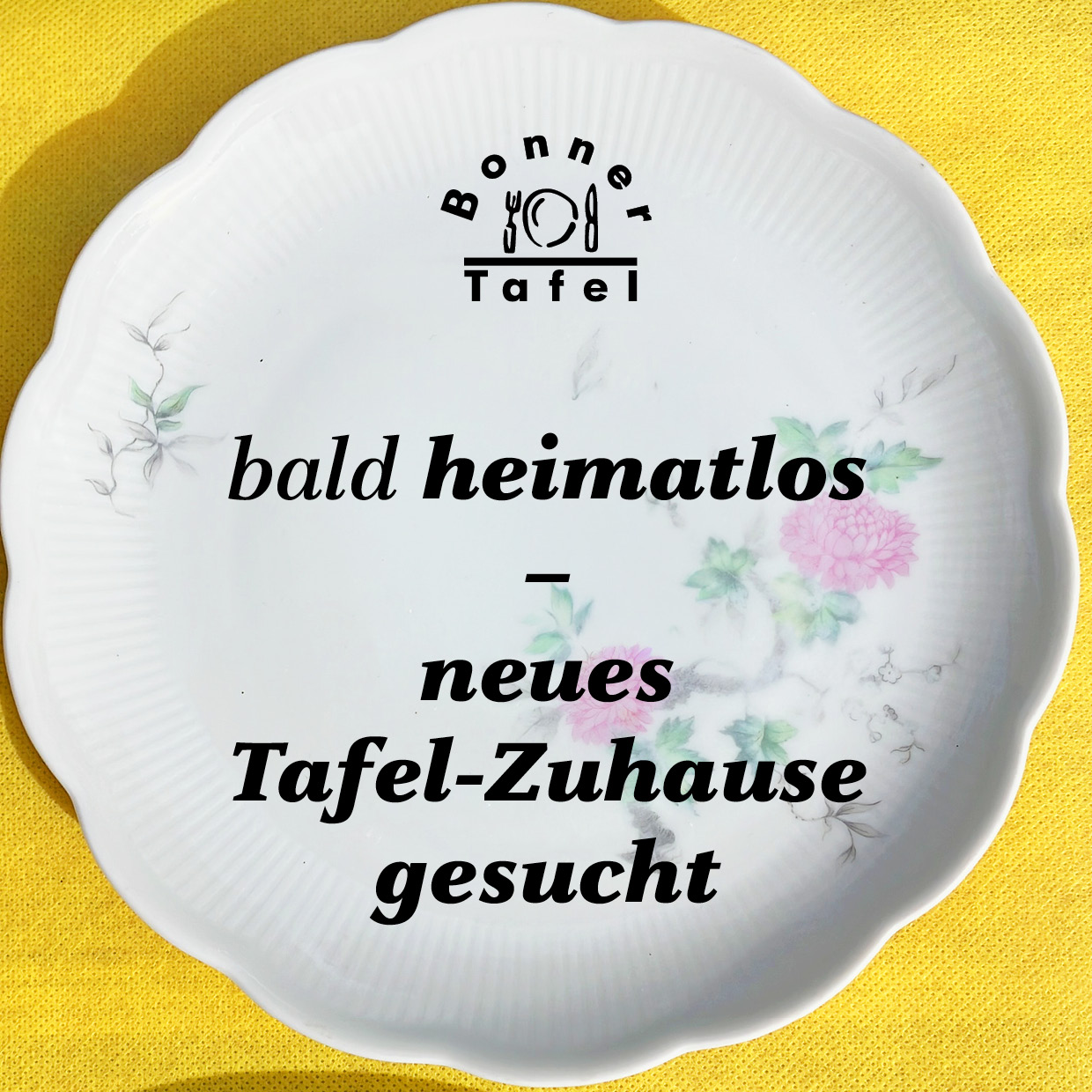 auf einem alten, weißen Essteller dessen grün-rosafabenes Blütendekor schon verblasst, steht unter dem schwarzen Logo der Bonner Tafel in kursiver Schriftder Suchaufruf "bald heimatlos - neues Tafel-Zuhause gesucht"